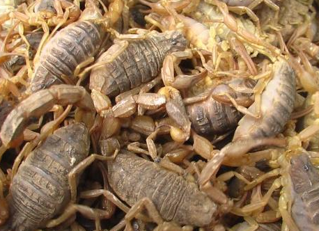 合肥小區(qū)開(kāi)荒保潔要注意哪些事項(xiàng)呢？